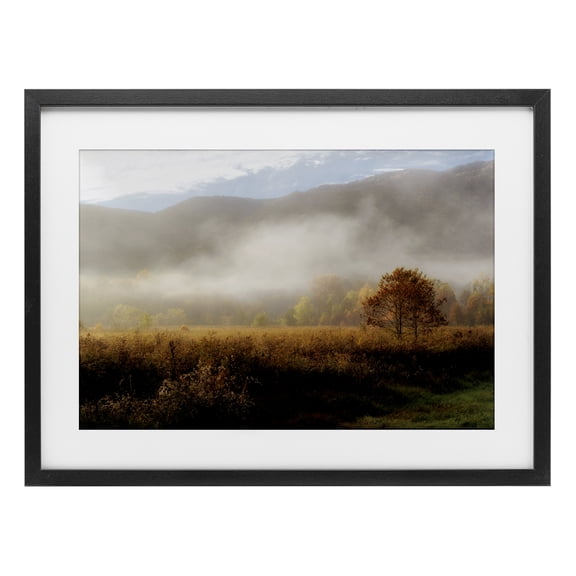 Stupell Industries Lifting Fog over Nature Black Framed Print Under Glass design by D. Burt, 14 x 20