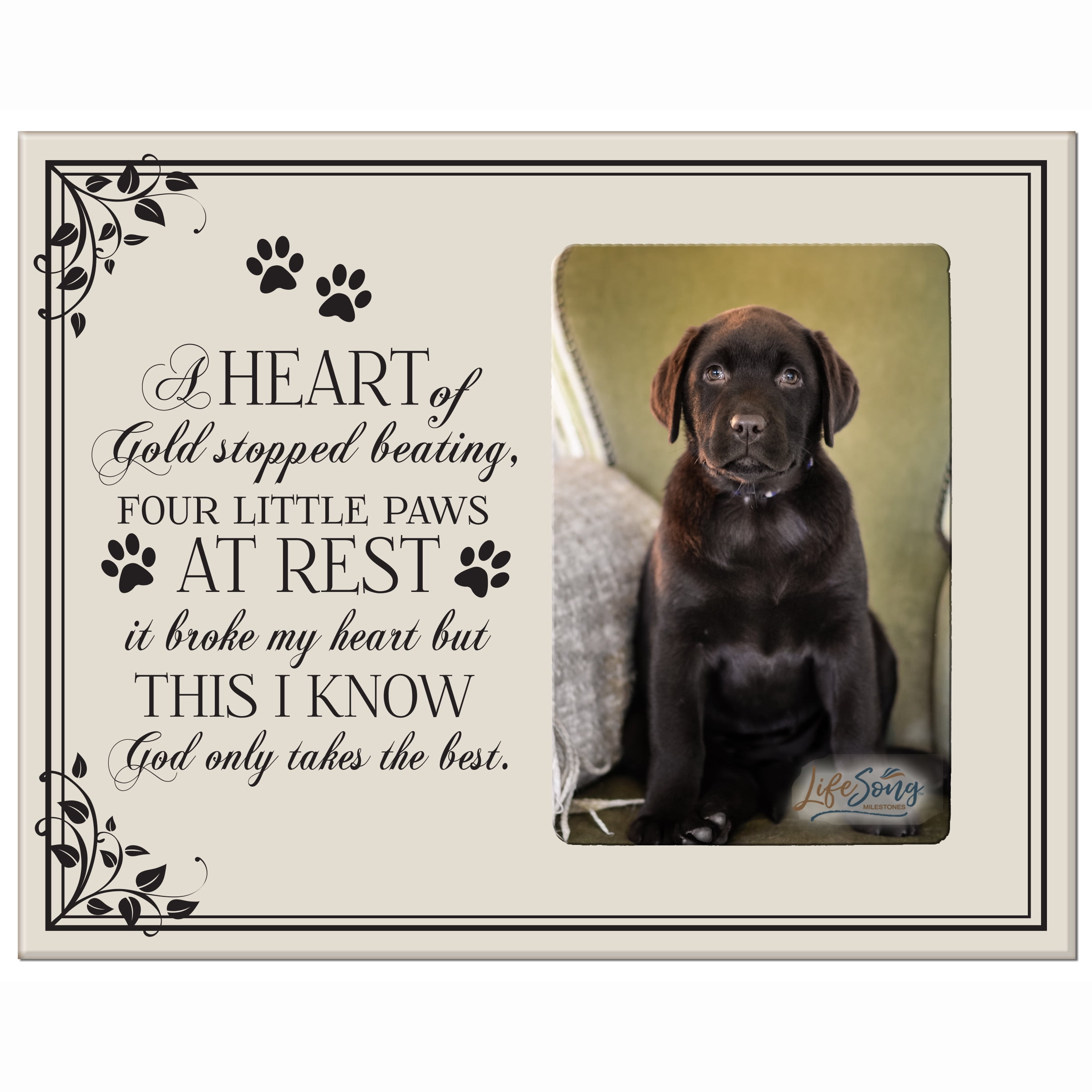 Lifesong Milestones Wooden Memorial 8x10 Vertical Picture Frame For Pet Dogs Holds 4x6 Photo A Heart Of Gold Ivory Walmart Com Walmart Com Lifesong Milestones Wooden Memorial 8x10 Vertical Picture Frame For Pet Dogs Holds 4x6 Photo A Heart Of Gold Ivory Walmart Com Walmart Com