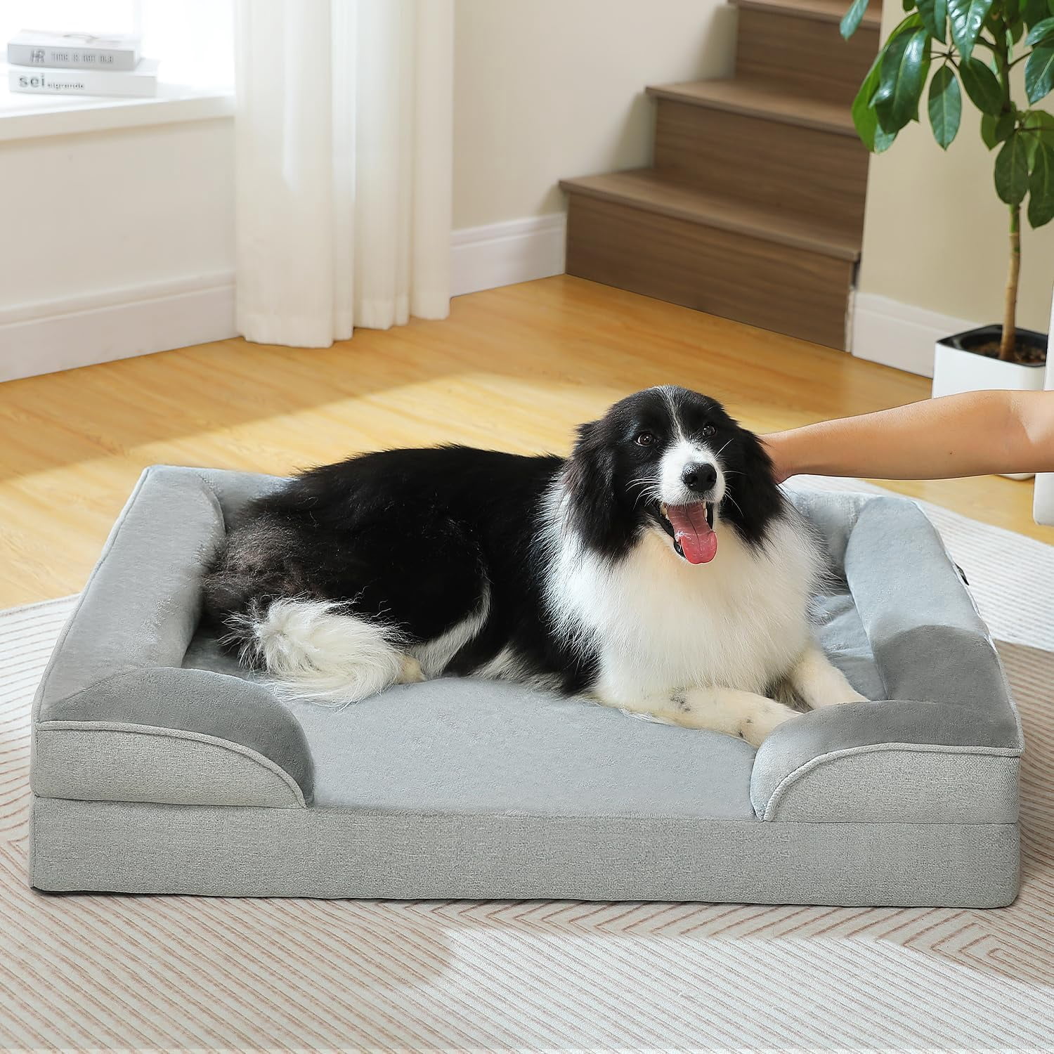 Orthopedic Dog Bed, Washable Large Dog Bed for Large Dogs with Supportive Foam,2-Layer Waterproof Cover and Non-Slip Bottom for Small, Medium and Large Dog-Gray,Large