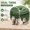 Green, variant on Green Sisal Rope 1/4 Inch by 65 Feet – Durable Cat Scratching Post Replacement, DIY Hemp Twine for Cat Trees, Climbing Shelves, Scratch Mats, Window Perches, 6mm by 20m