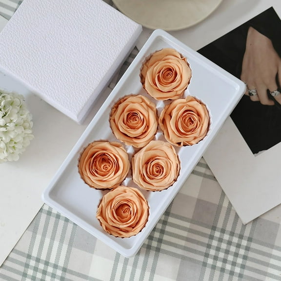 MixMart 6Pcs/Set Forever Preserved Roses in a Box, Real Roses That Last Up to 1 Years, Preserved Flowers for Delivery Birthday, Valentines Day Gifts for Her