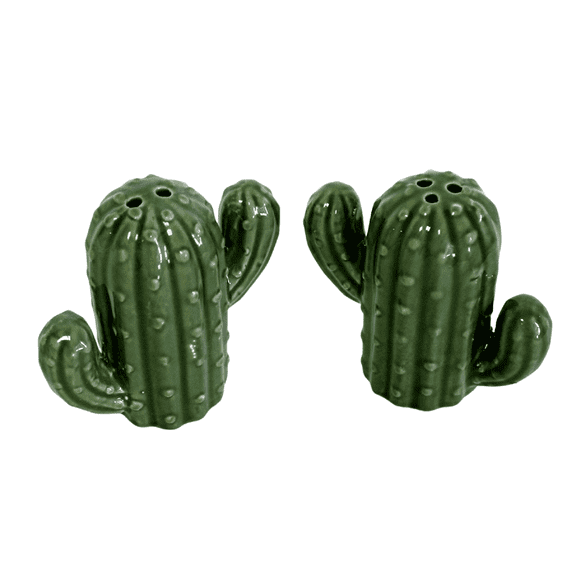 Hand Painted Ceramic Cactus Salt & Pepper Shaker Set Green Gift Box