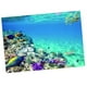 thumbnail image 5 of Fondo de imagen con adhesivo único de impresión 3D para acuario de pecera de 76x56cm Sunnimix Pegatina de fondo del tanque de peces, 5 of 8