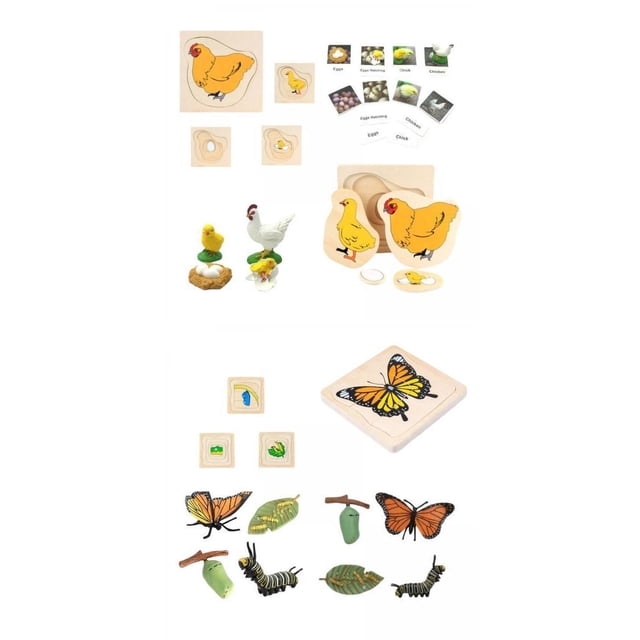 Growth Cycle Figurines,Animal Life Cycle Figurines Development Toys,Growth Cycle Set Cognition Models Jigsaw Puzzle,Educational Toys Party Favors Teaching Tools,Building Blocks Kindergarten Baoblaze Figuras de ciclo de crecimiento