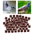 thumbnail image 1 of kurtrusly 100Pcs 2022 Aluminium Dove Racing Pigeon Foot Rings Bands 8mm Brown, 1 of 8