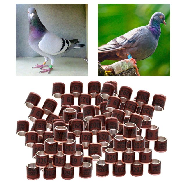kurtrusly 100Pcs 2022 Aluminium Dove Racing Pigeon Foot Rings Bands 8mm Brown