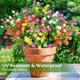 thumbnail image 5 of 24 paquetes de flores artificiales AGIRL para decoración exterior, 5 of 7
