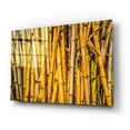 thumbnail image 2 of Epic Art 'Bamboo' by Mark A Paulda, Acrylic Glass Wall Art, 24"x16", 2 of 8