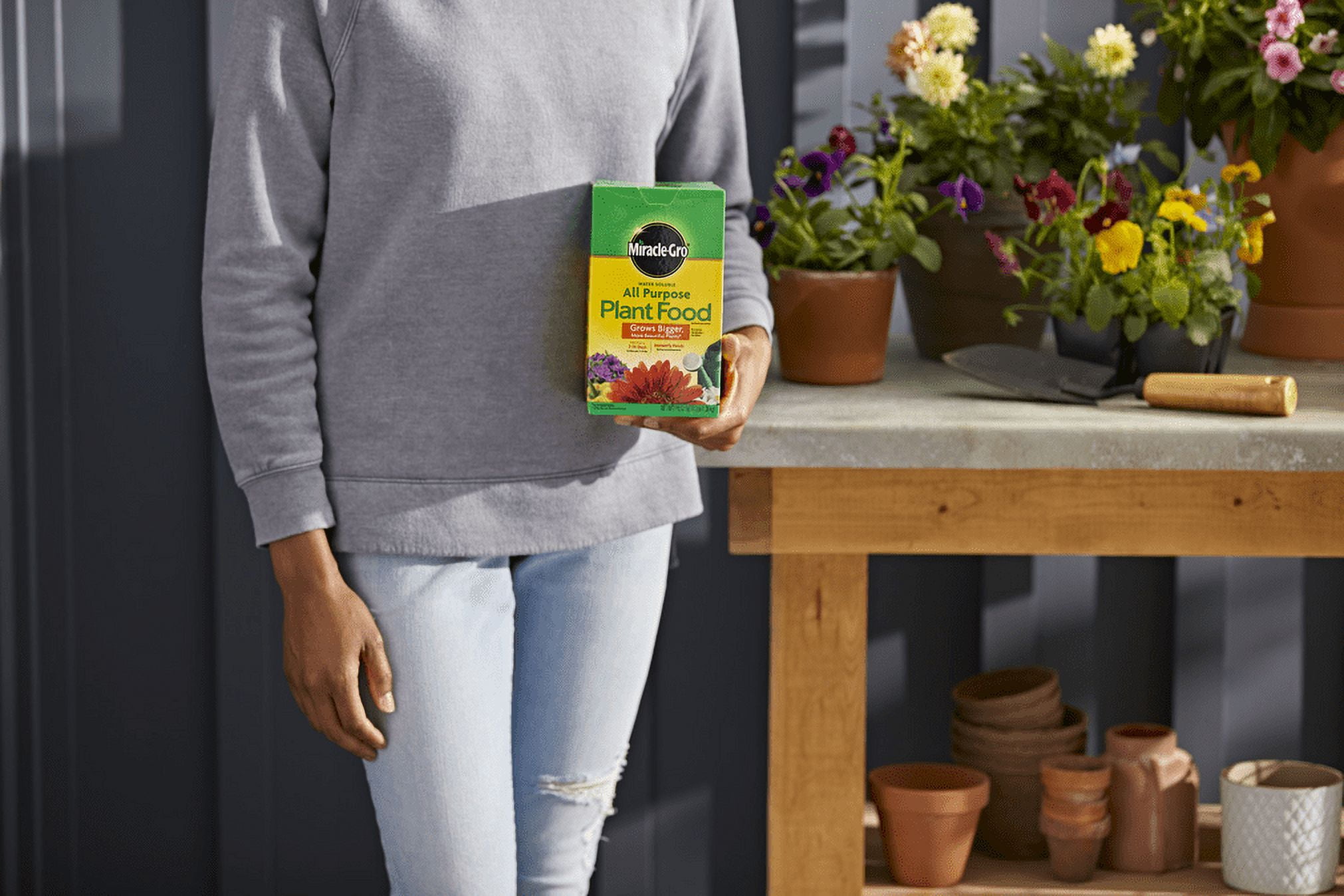 Miracle-Gro Water Soluble All Purpose Plant Food 3 lb.