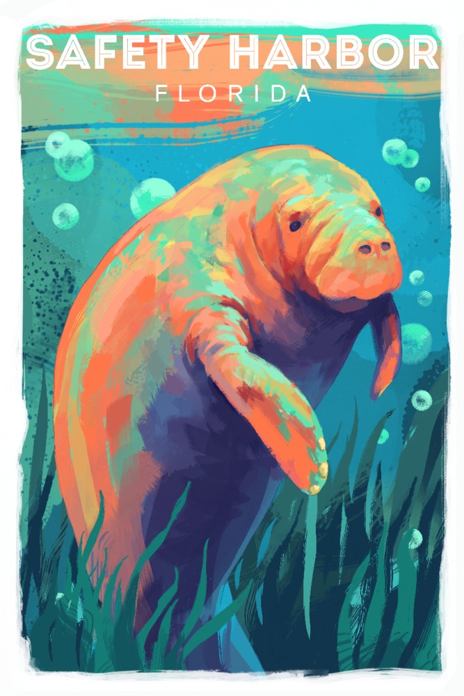 Safety Harbor, Florida, Manatee, Vivid (16x24 Giclee Gallery Art Print