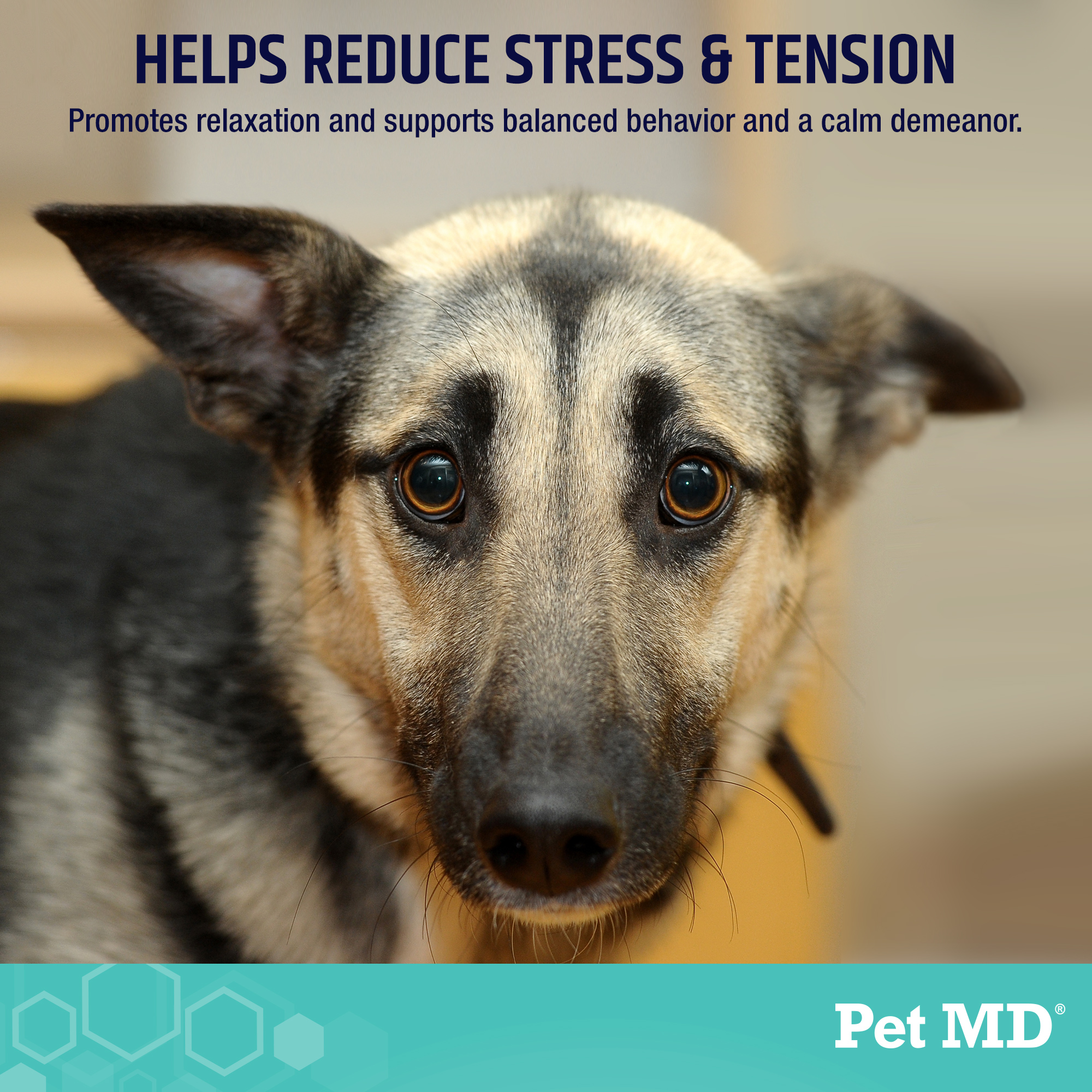 Pet MD Calming Chews for Dogs, 60 ct