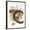 Brown Frame, variant on Art.com Rusted Loops II Stretched Canvas Print Wall Art by Jennifer Goldberger, 12" x 16"