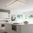 thumbnail image 3 of Colorful Spring Floral Magnetic Fluorescent Light Covers for Ceiling Lights 2x4Ft, Farmhouse Botanical Summer Office Classroom Kitchen Drop Ceiling Light Covers Lighting Filters Shade Panel 2 Packs, 3 of 9