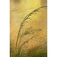 thumbnail image 2 of Bush, Marie 11x14 Black Ornate Wood Framed with Double Matting Museum Art Print Titled - New Mexico Grass and sky reflections, 2 of 4