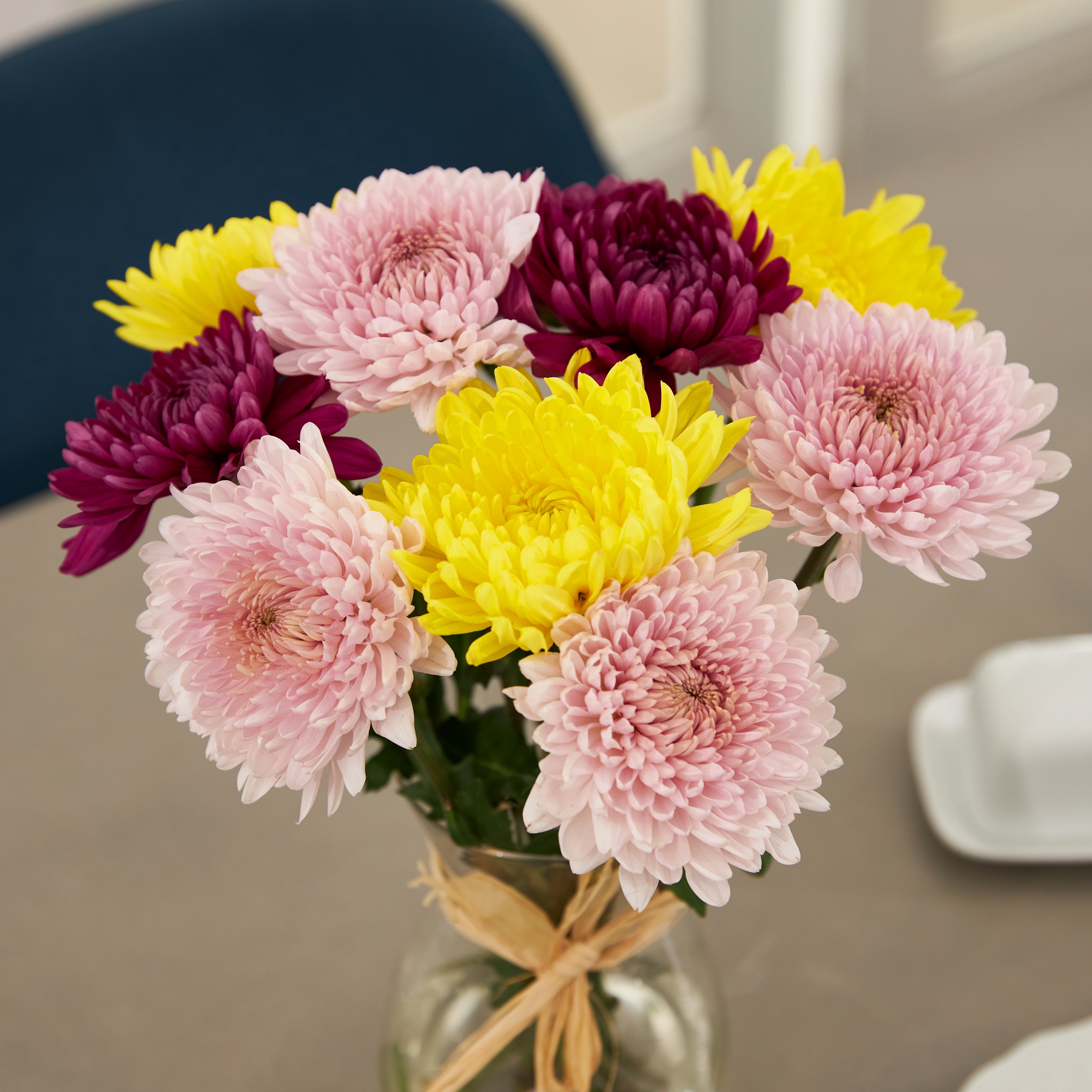 Fresh-Cut Jumbo Mums Flower Bunch, Colors Vary