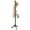 Brown, variant on Spaco Adjustable Wooden Tree Coat Rack with 8 Hooks-Gray, Free Standing Coat Tree, Coat Racks for Bedroom and Hallway