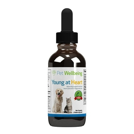 UPC: 0661822600030 | Pet Wellbeing Natural Cardiovascular Support for Cats  Young at Heart 2oz (59ml)