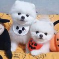 Autumn Pet Towel Triangle Scarf Pet Dog Headscarf Big Dog Bib Scarf