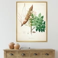 thumbnail image 2 of Designart 'Ancient Botanicals IX' Farmhouse Framed Canvas Wall Art Print, 2 of 5