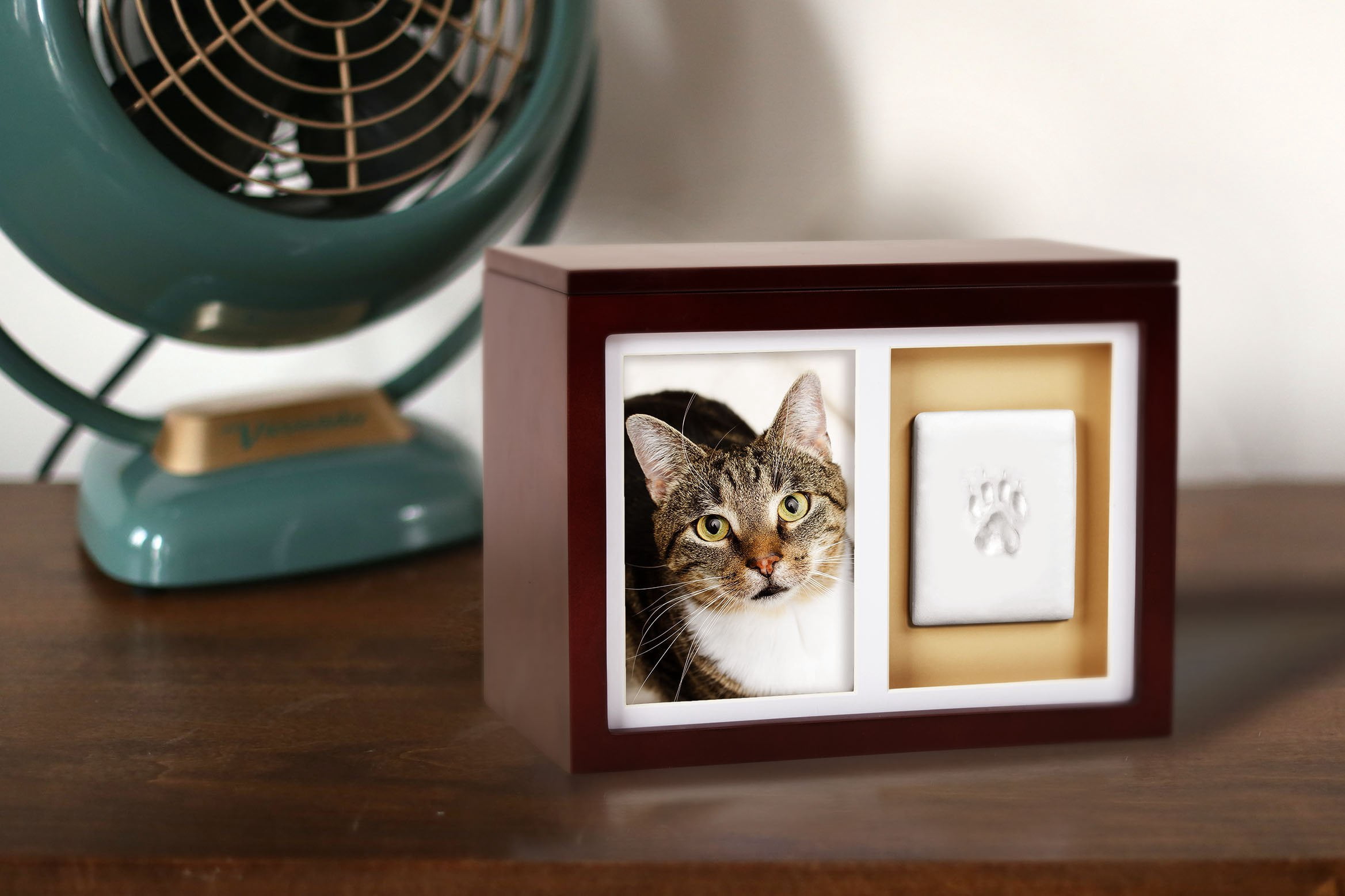 PETT Pet paw print frame with clay print kit and photo display