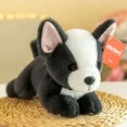 thumbnail image 3 of Peluche de perro de 23 cm para fiesta, divertido Corgi, Bulldog, Husky, bonito y súper suave, regalo de cumpleaños, para enviar a amigos, decoración festiva para niños, 3 of 5
