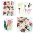 Eternal Life Dried Flower Material Package Festival Handmade Diy Flower