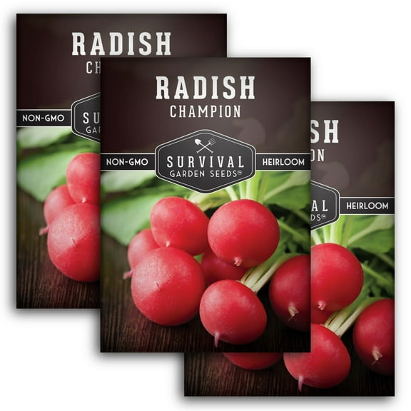 Survival Garden Seeds Champion Radish 3 Pack - Non-GMO Heirloom Vegetable Seed - Full Sun Biennial