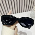 Cat Eye Sunglasses For Women Cute Oval Thick Frame Accessories Sun