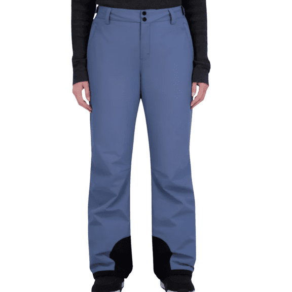 Roxy Women's Snow Pant, Blue, XL