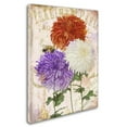 thumbnail image 2 of Trademark Fine Art "Chrysanthemums" Canvas Art by Color Bakery, 2 of 3