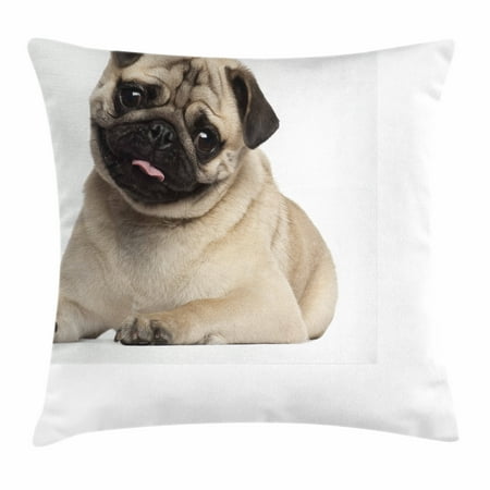 pug throw pillow cushion