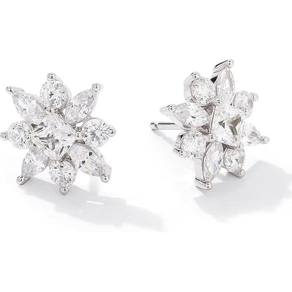 Zion Jewels 4.64Ct Square Cut Diamond Stud Earrings 14K White Gold Plated 925 Sterling Silver Best Gift For Her