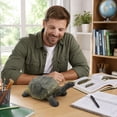 thumbnail image 6 of 13 Inch Giant Tortoise Toy, Soft Rubber Simulated Sea Animal Educational Figure, 6 of 9