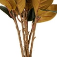 thumbnail image 5 of 30" Plastic Floral Tall Magnolia Artificial Flower Stem, by DecMode (6 Count), 5 of 9