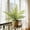 🔥 green_Hot#3041, variant on Artificial Green Plant Wall Panel for Indoor Outdoor Decor, Plastic Greenery, No Maintenance Faux Green Wall for Home, Office, Store Display
