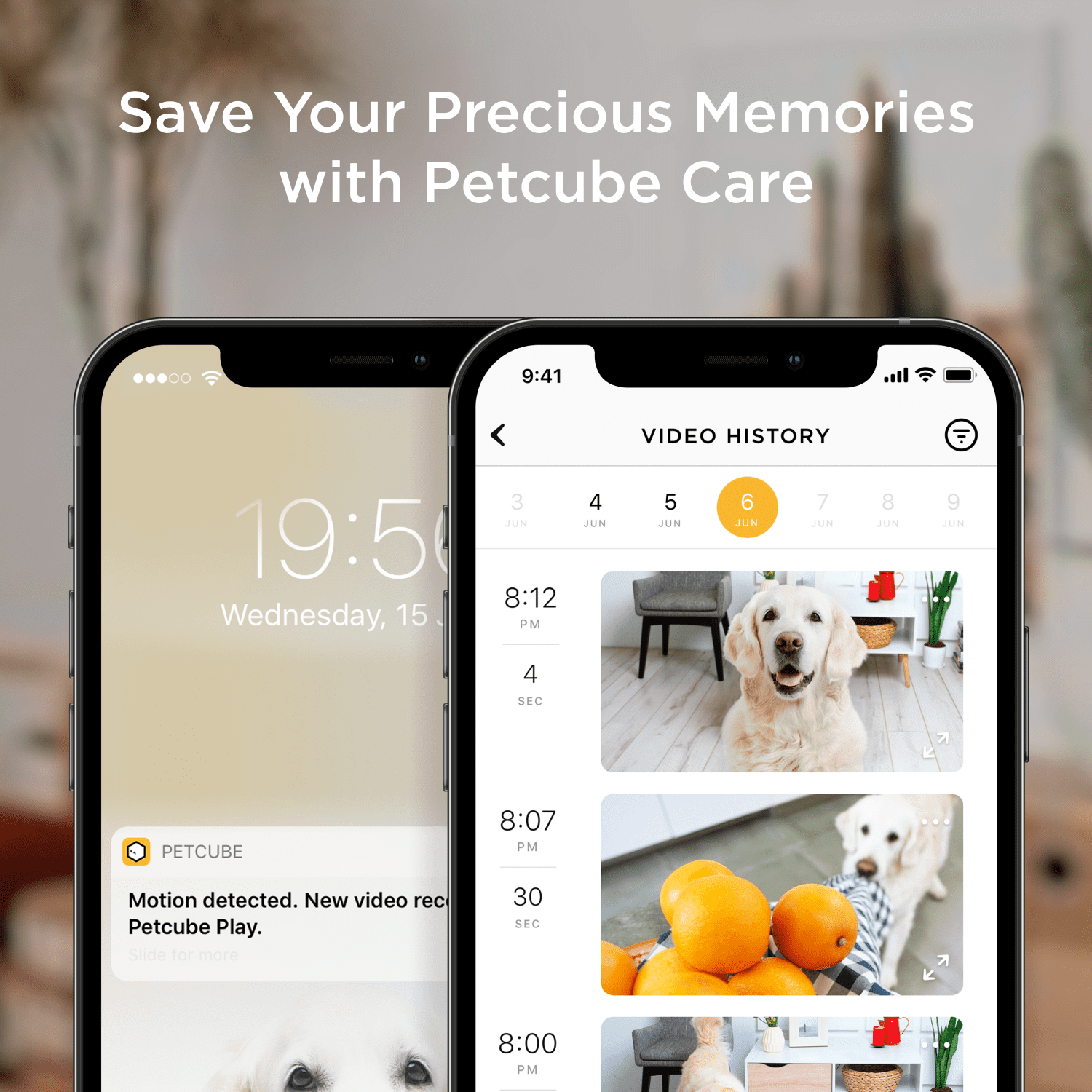Petcube Bites 2 Lite WiFi Pet Camera with Treat Dispenser, 1080p HD Video, Two-Way Audio, Night Vision, Motion & Sound Alerts, Dog & Cat Monitor with App