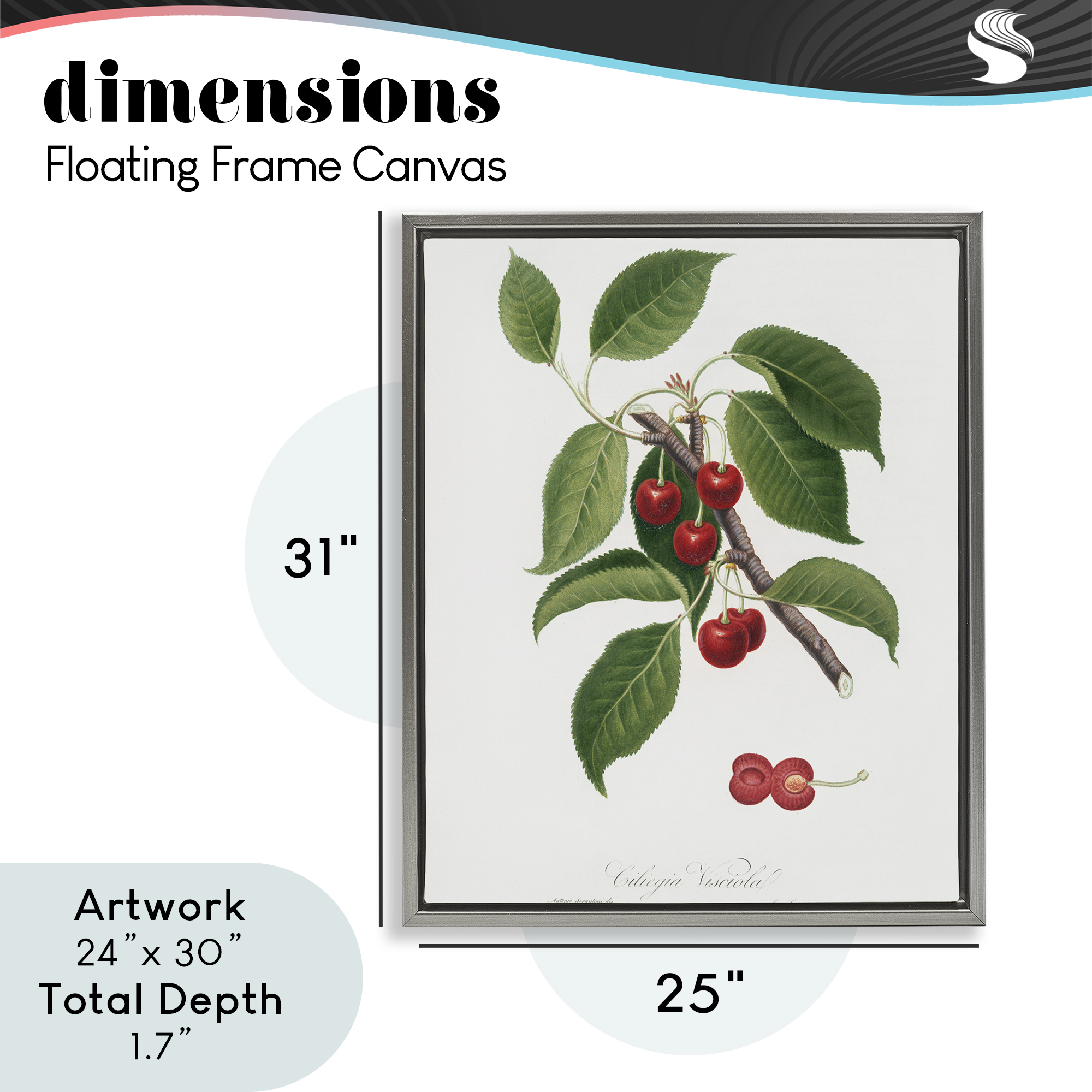 Latin Study of Cherry Plant Gray Framed Floater Canvas Wall Art, design by Lettered and Lined