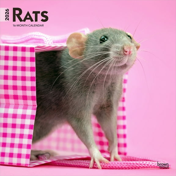 Rats | 2026 12x24" (Hanging) Square Wall Calendar | Plastic-Free | BrownTrout