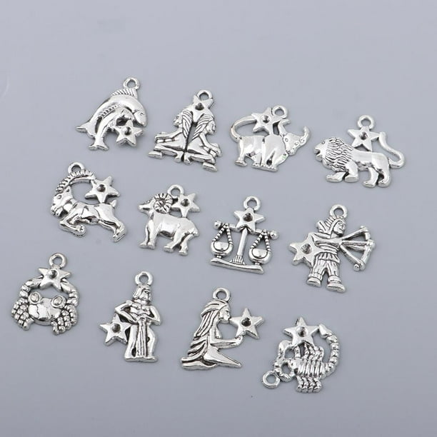12Pcs Suministros de Manualidades Salvador Encantos de Joyería Plata Antigua