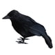 thumbnail image 3 of Likrtyny 2 Uds Terror Animal Pájaro Plástico Y Plumas Halloween para El Fiesta Halloween, 3 of 7