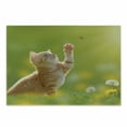 thumbnail image 1 of Cat Cutting Board, Animal Theme Cat Hunting a Ladybug Nature Grass Dandelions Digital Print, Decorative Tempered Glass Cutting and Serving Board, Small Size, Earth Yellow Pale Green, by Ambesonne, 1 of 1