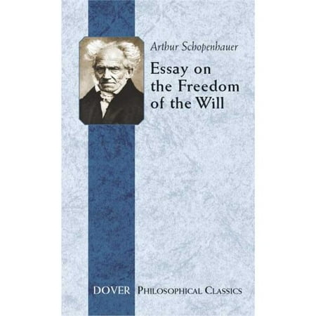 essay on importance of democracy