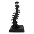 thumbnail image 4 of Vertebrae Back Bones Spine Skeleton Human Anatomy Table Lamp With Black Shade, 4 of 10