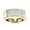 Yellow, variant on 14K Mens Natural 1 Ctw Sparking Diamonds Band Princess Cut Ring (Yellow Gold Size 9)