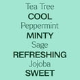 thumbnail image 4 of Plant Therapy Tea Tree and Peppermint Essential Oil Natural Body Wash 16 oz For all Skin Types, Sulfate Free Body Wash, For Men or Women, Refreshing & Invigorating Natural Scent, Hydrating Lather, 4 of 10