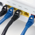 thumbnail image 4 of PrimeCables® 30Ft Cat 7 (S/STP) Network Cables - Black, 4 of 4
