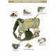 thumbnail image 2 of Chaleco táctico para perros Chinichu para entrenamiento de caminar, color verde, 2 of 9