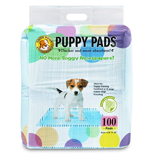 Is It Bad To Use Puppy Pads