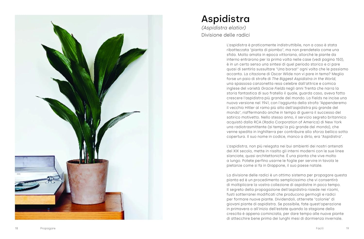India Whiley-Morton,Anna Isnardi,Paul Anderto Propagare. Come moltiplicare le piant (Hardcover)