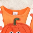 thumbnail image 4 of Jkety Baby Girl Outfits Baby Girl Smocked Thanksgiving Outfit Plaid Bubble Romper Embroidery Turkey Fall Clothes(Orange,3-6 Months), 4 of 7